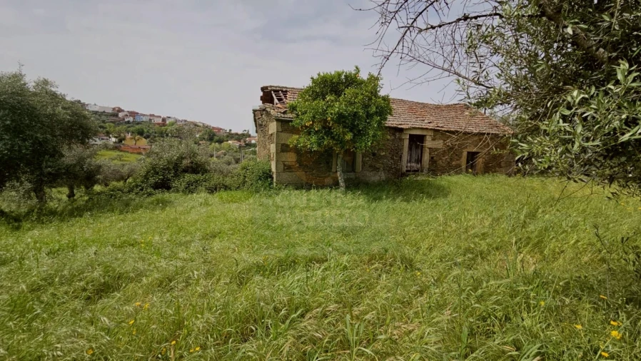 Quinta para Venda em Salgueiro do Campo Foto 5