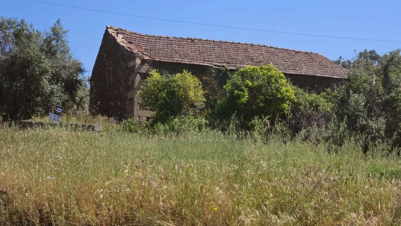 Quinta para Venda em Salgueiro do Campo Foto 13