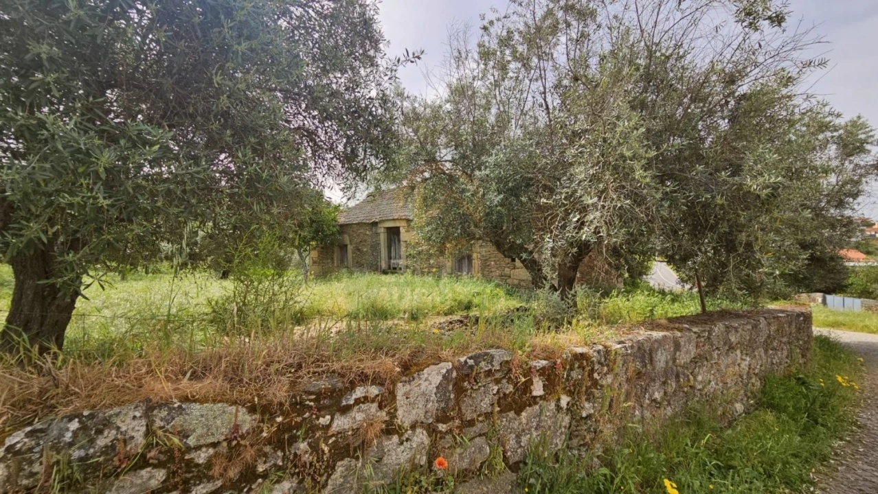 Quinta para Venda em Salgueiro do Campo Foto 14