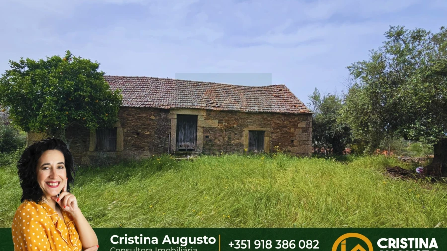 Quinta T0 para Venda em Salgueiro do Campo