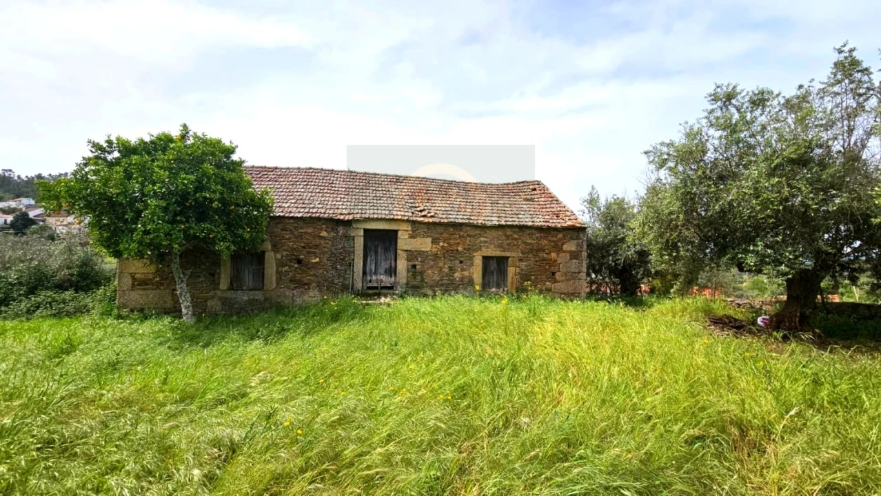 Quinta para Venda em Salgueiro do Campo Foto 1