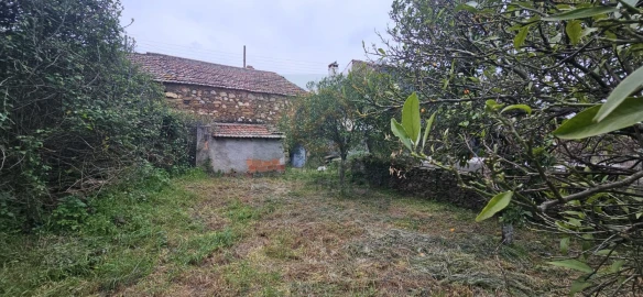 Moradia T1 para Venda em Sarzedas