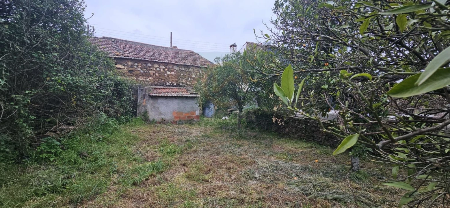 Moradia T1 para Venda em Sarzedas Foto 11