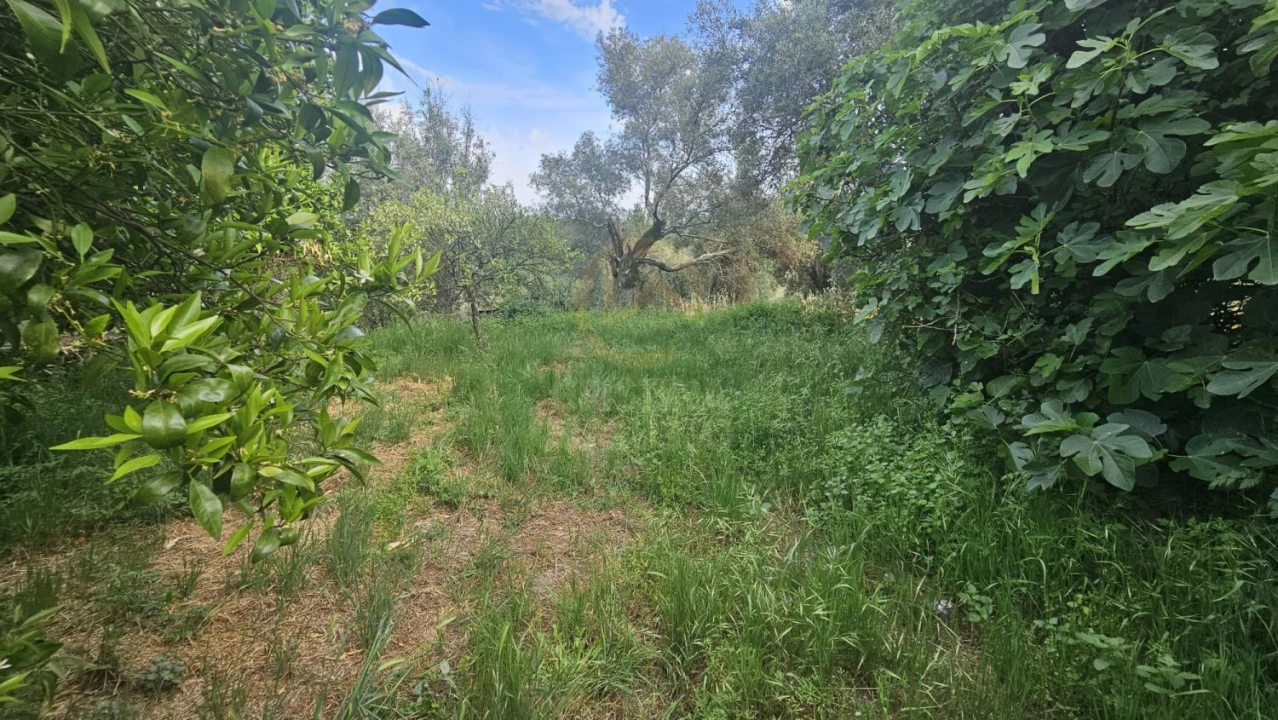 Moradia T1 para Venda em Sarzedas Foto 10