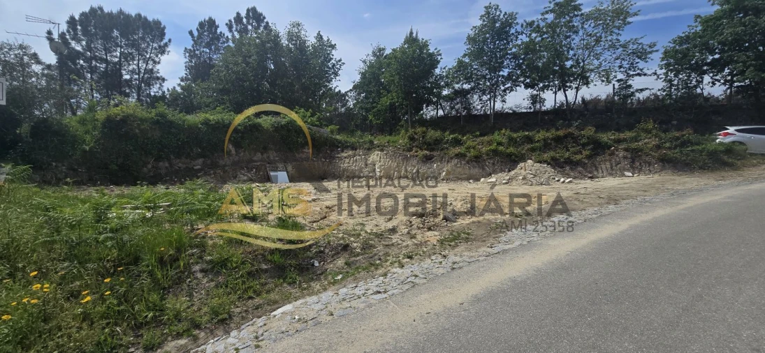 Terreno para Venda em Passos Foto 5