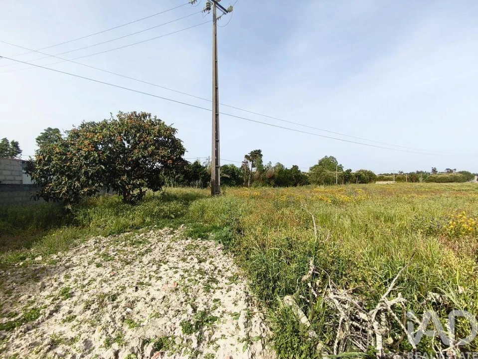 Moradia T2 para Venda em Lavos Foto 15