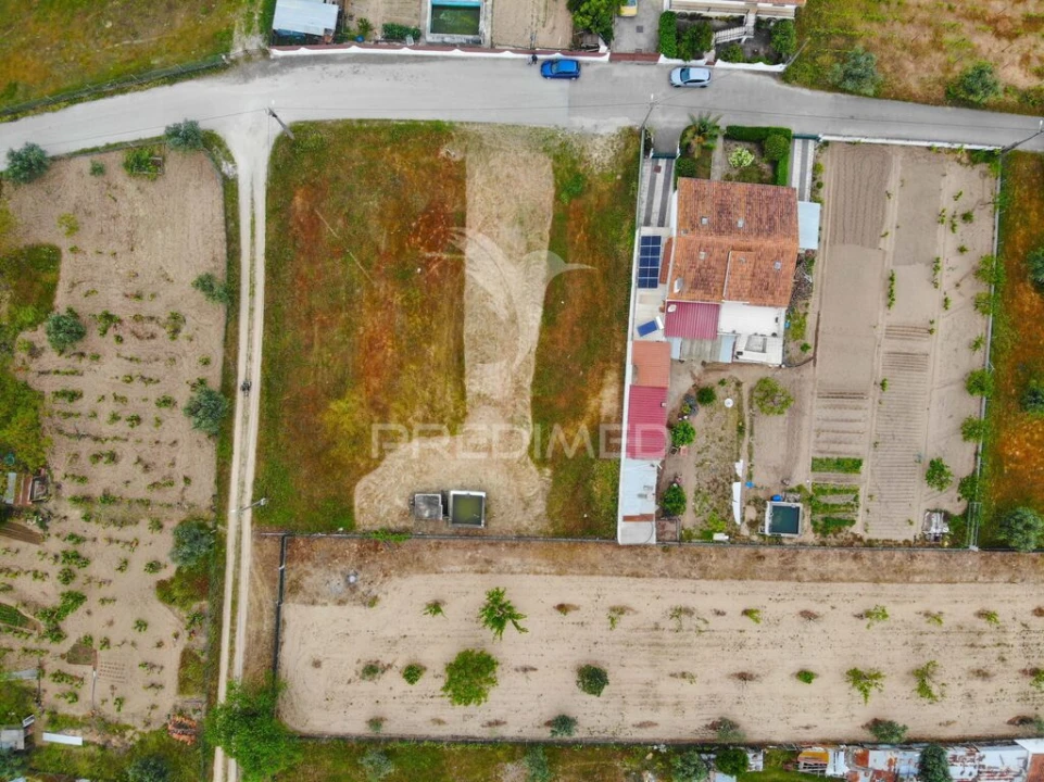 Terreno para Venda em São Miguel do Rio Torto e Rossio Ao Sul do Tejo Foto 3