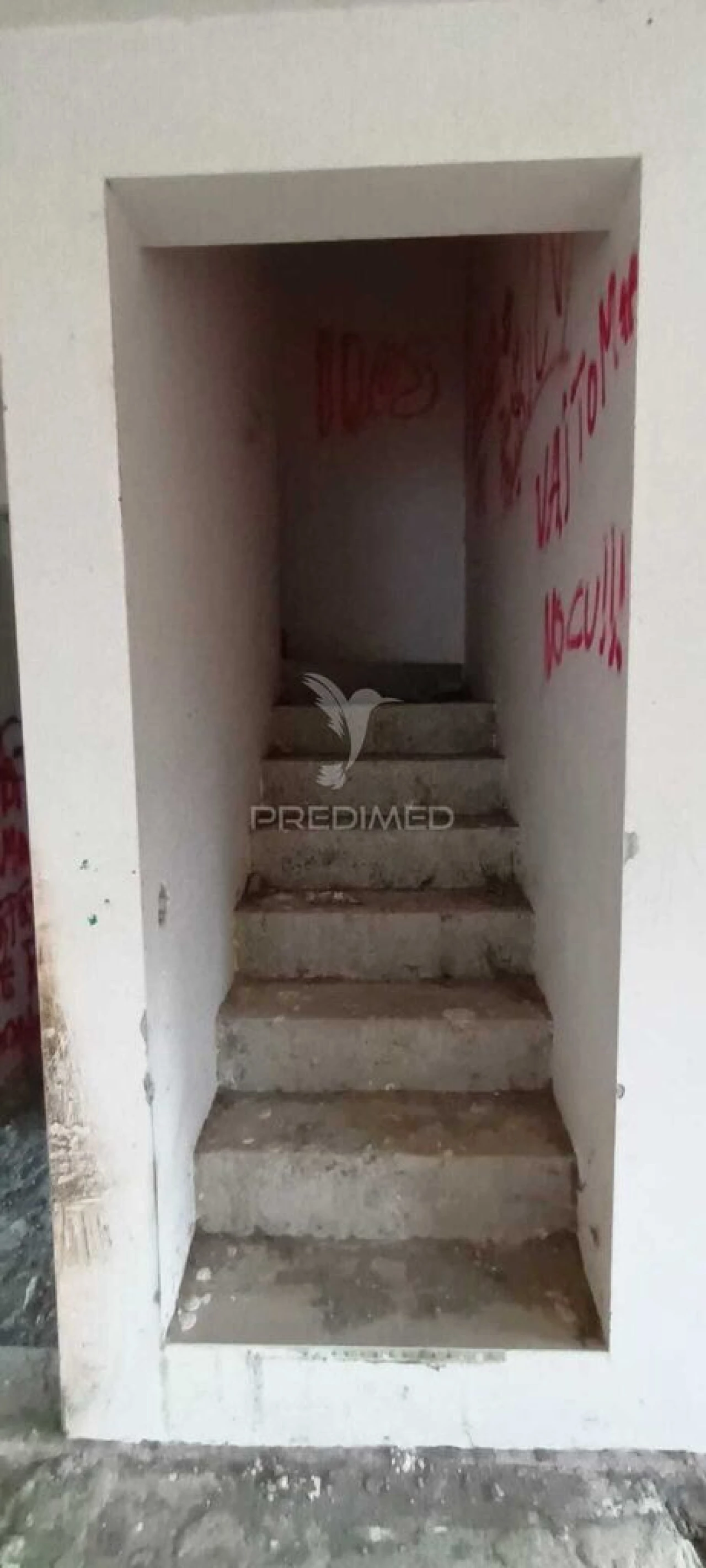 Terreno para Venda em São Mateus Foto 17