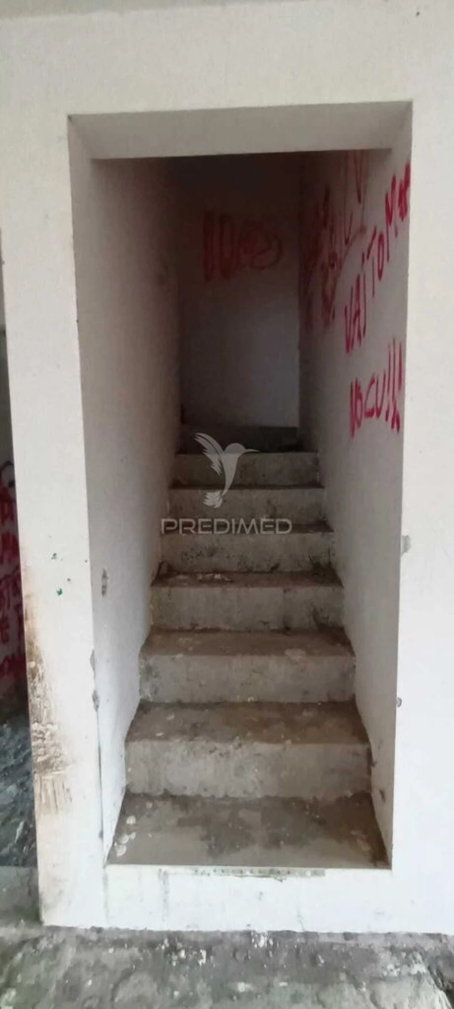 Terreno para Venda em São Mateus Foto 17