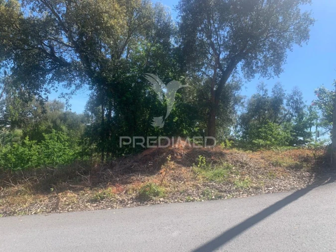Terreno para Venda em Madalena Foto 5