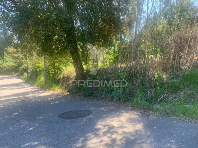 Terreno para Venda em Madalena Foto 4