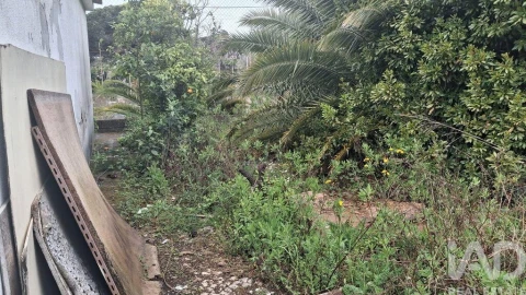 Terreno para Venda em Sesimbra (Castelo)