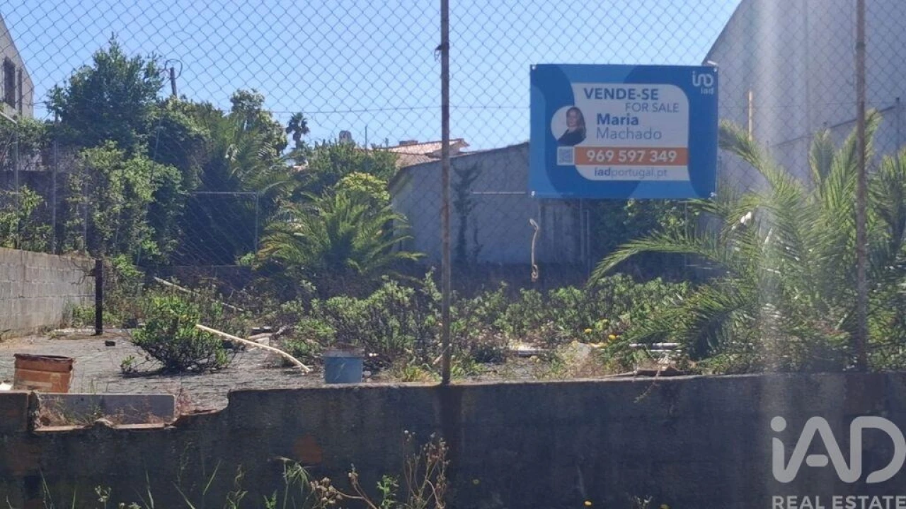 Terreno para Venda em Sesimbra (Castelo) Foto 8