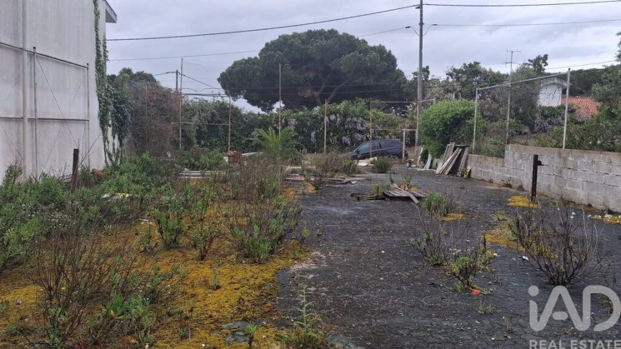 Terreno para Venda em Sesimbra (Castelo) Foto 3