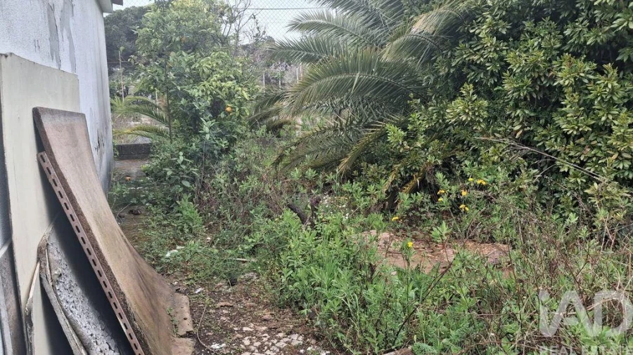 Terreno para Venda em Sesimbra (Castelo) Foto 6