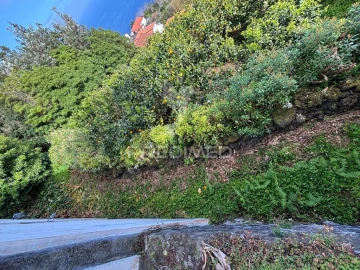 Moradia T2 para Venda em São Roque do Pico