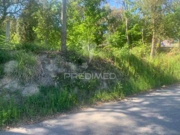 Terreno para Venda em Madalena