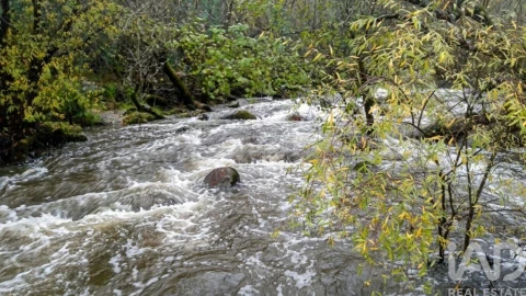 Quinta T6 para Venda em Alcains