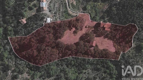 Quinta T6 para Venda em Alcains