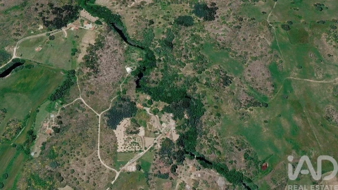 Quinta T6 para Venda em Alcains