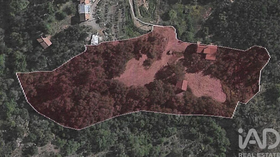 Quinta T6 para Venda em Alcains Foto 38