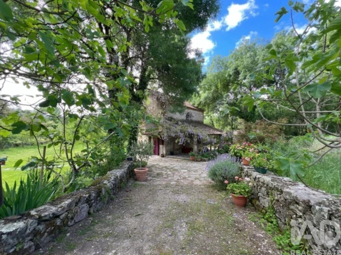 Quinta T6 para Venda em Alcains Foto 6