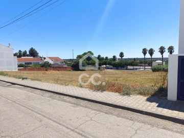 Terreno para Venda em Torrão