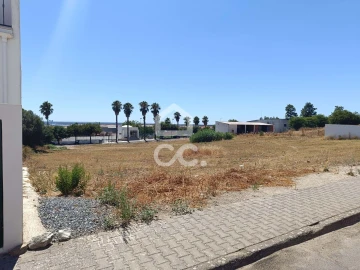 Terreno para Venda em Torrão