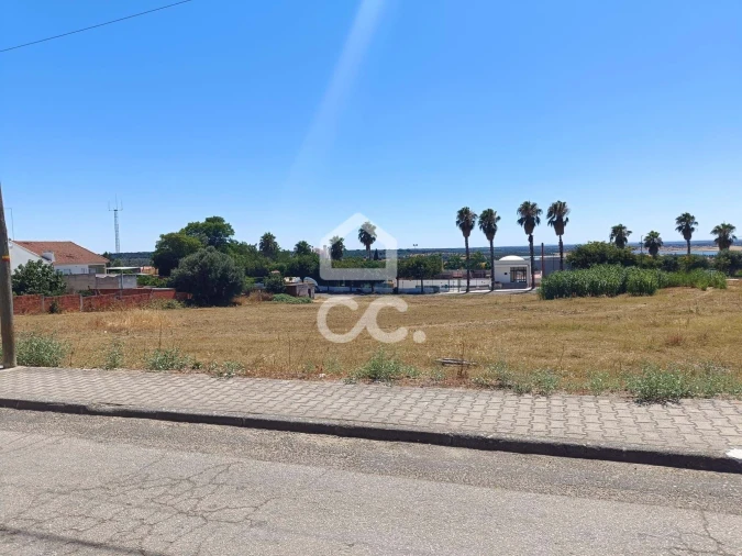 Terreno para Venda em Torrão Foto 11