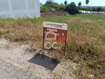 Terreno para Venda em Torrão