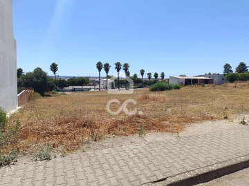 Terreno para Venda em Torrão