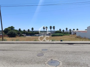 Terreno para Venda em Torrão