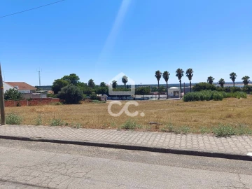 Terreno para Venda em Torrão