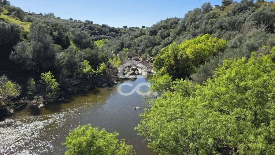 Terreno para Venda em Torrão Foto 15