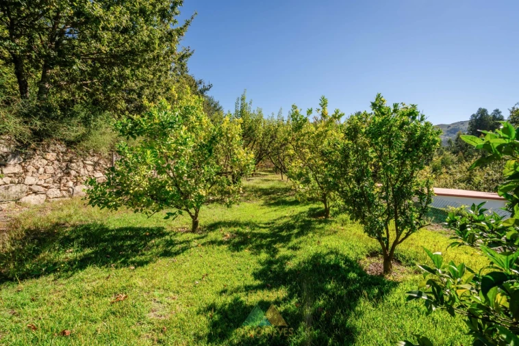 Moradia T4 para Venda em Couto Foto 29