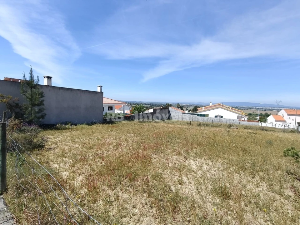 Terreno para Venda em Carregueira Foto 9