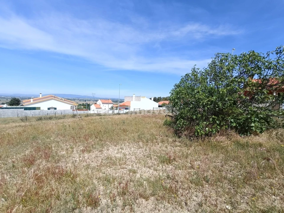 Terreno para Venda em Carregueira Foto 4