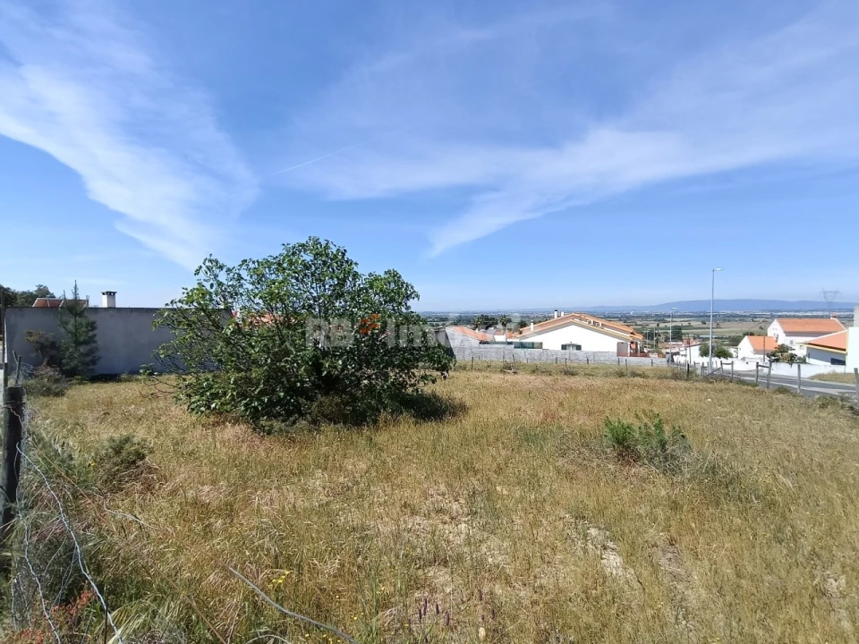 Terreno para Venda em Carregueira Foto 2