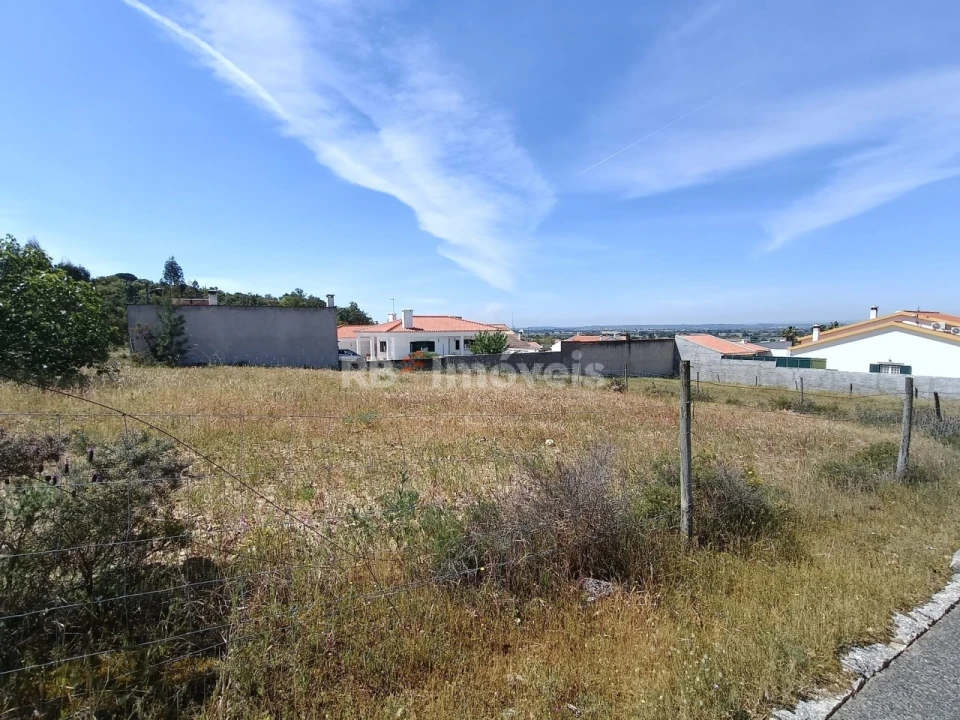 Terreno para Venda em Carregueira Foto 12