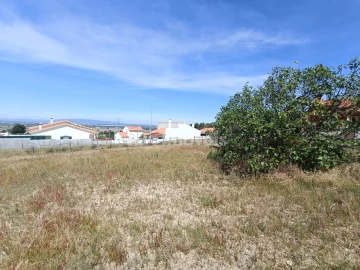 Terreno para Venda em Carregueira
