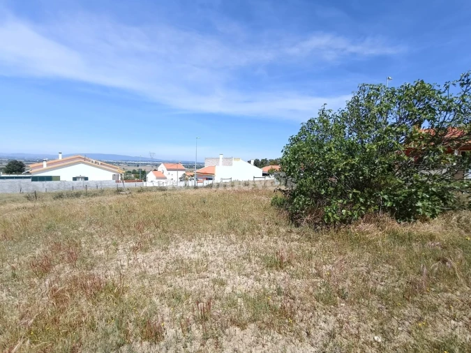 Terreno para Venda em Carregueira Foto 8
