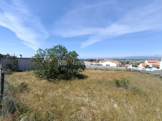 Terreno para Venda em Carregueira Foto 2