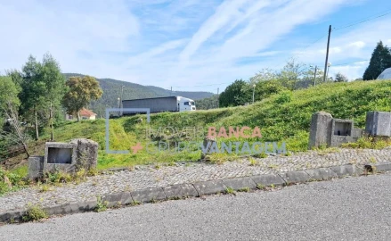 Terreno para Venda em Luso