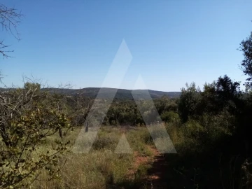 Terreno Misto para Venda em Querença, Tôr e Benafim