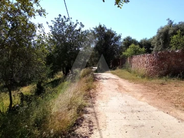 Terreno Misto para Venda em Querença, Tôr e Benafim