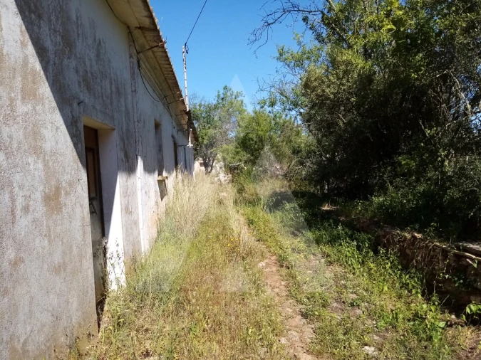 Terreno Misto para Venda em Querença, Tôr e Benafim Foto 3