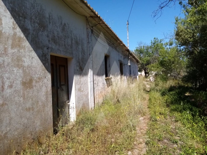 Terreno Misto para Venda em Querença, Tôr e Benafim Foto 2