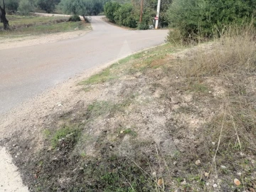 Terreno Agricola ou Rústico para Venda em Loule (São Sebastião)