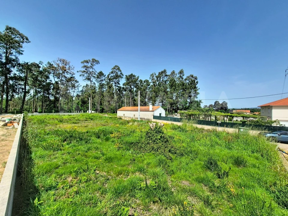 Terreno para Venda em São Julião e Silva Foto 1