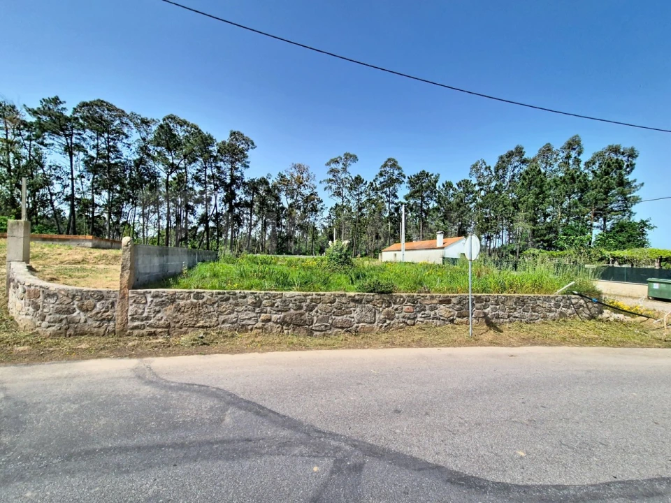 Terreno para Venda em São Julião e Silva Foto 5